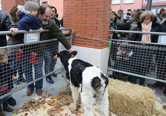 Los vecinos disfrutan de una pasada edición de la feria agrícola y ganadera de Leioa.