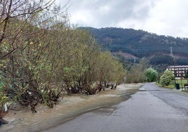 El agua alcanza las calles del barrio de La Quadra.