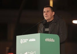 El secretario general de EH Bildu, Arnaldo Otegi.