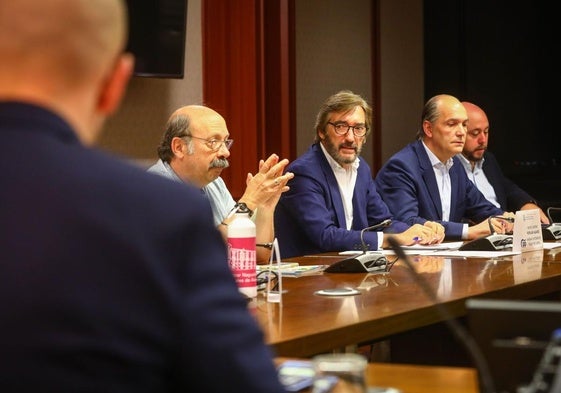 Oyarzabal, durante una sesión de la comisión de Hacienda de las Juntas Generales