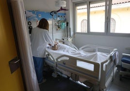 Osakidetza reforzará con 508 camas más sus hospitales para hacer frente al pico de gripe