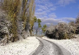 Algunas curiosidades sobre la nieve que quizás no sepas