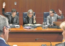 Oihana Etxebarrieta, Nerea Kortajarena y Pello Otxandiano, este jueves en la comisión de Hacienda del Parlamento vasco.