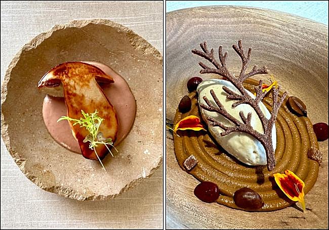 Boletus con crema de cecina y Helado de hongos.