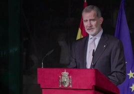 Felipe VI.