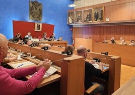 Imagen del salón de plenos en una sesión celebrada en el presente curso.