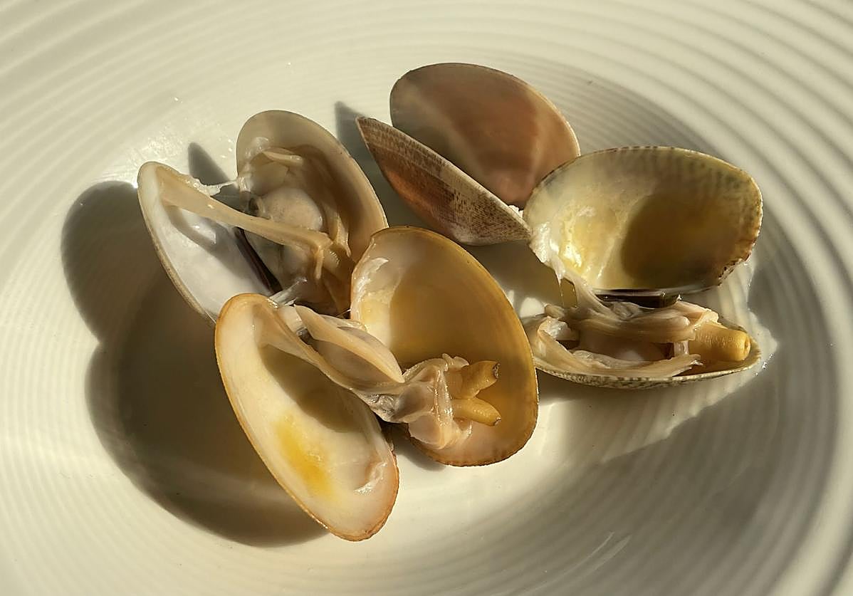 Lo caro sale barato en el Hondartzape