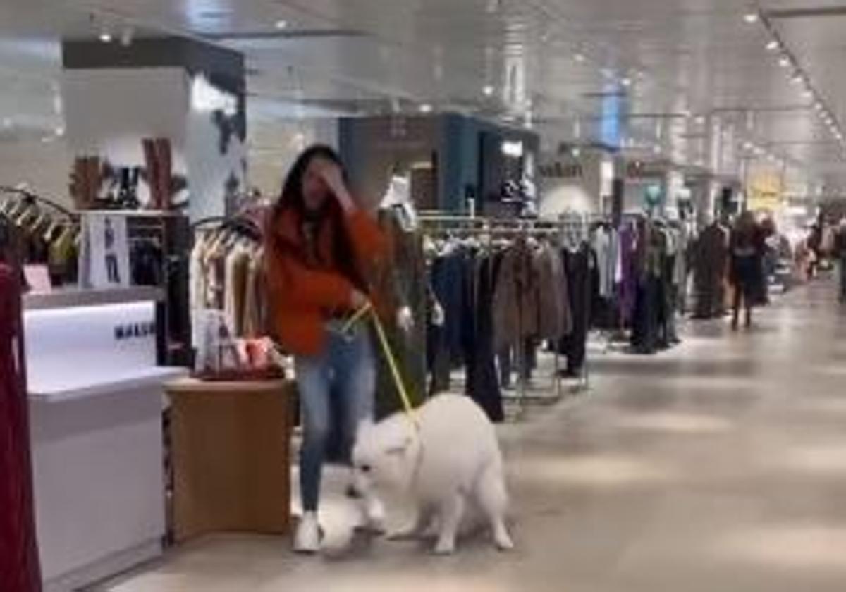 se permiten perros en la tienda de deportes neuse