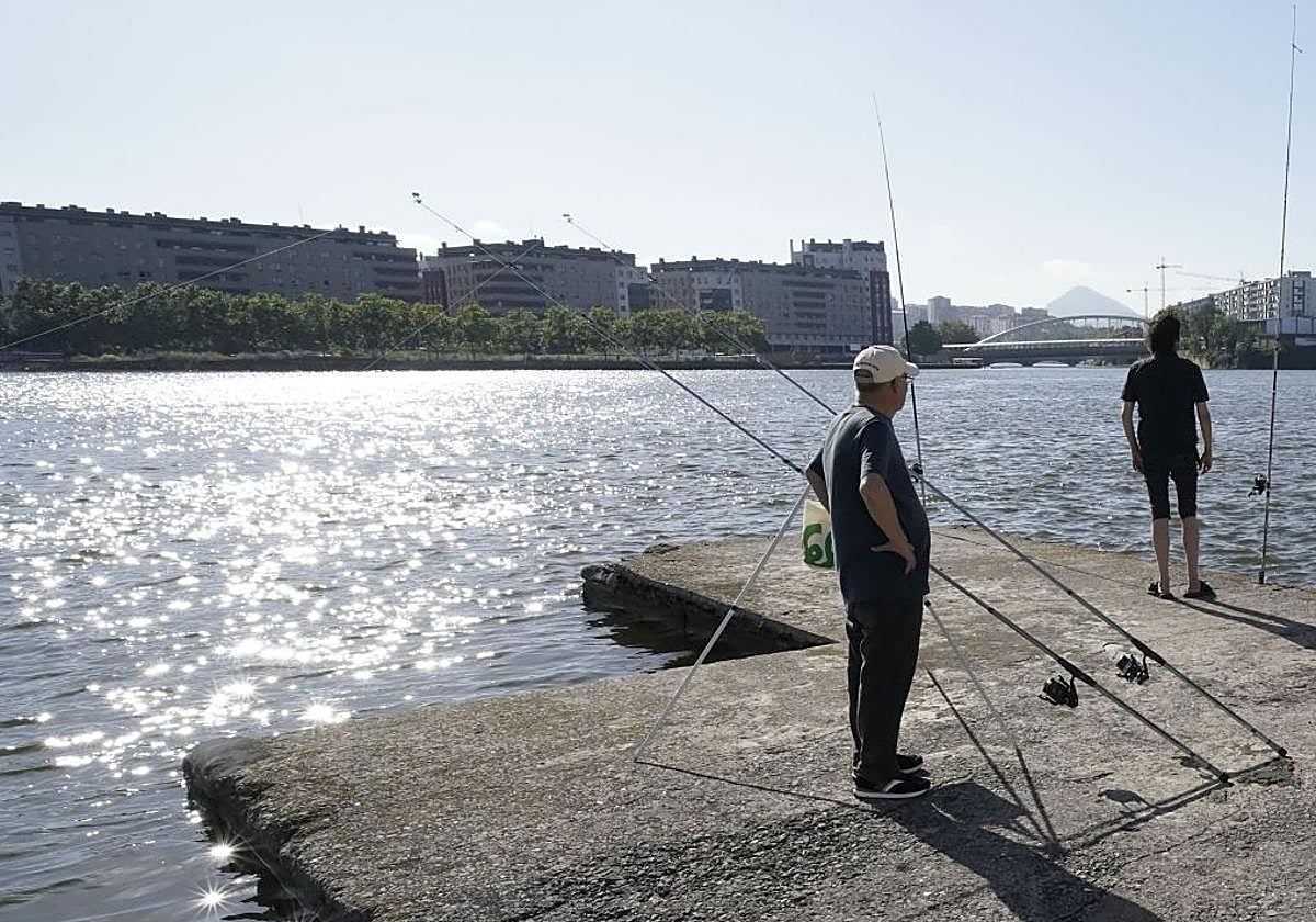 Al menos 57 especies de peces y 33 de crustáceos habitan bajo la superficie. En la imagen, pescadores en Erandio.