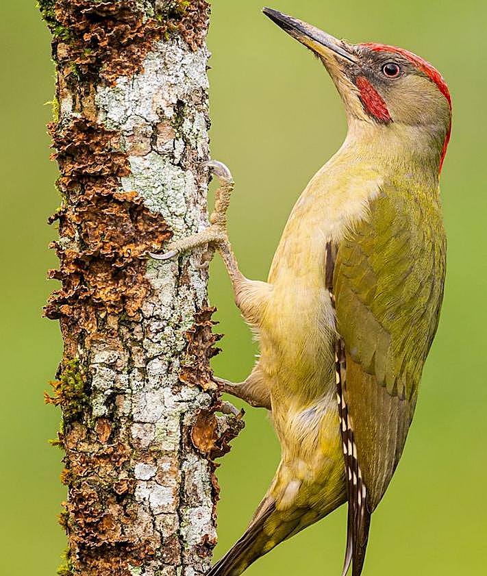 Imagen secundaria 2 - Vista de dos fotografías de la exposición y del autor, Xabier Ramos. 