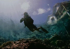 Un fotograma de 'Shark Man. The Depths Within', de Peter Loeseke