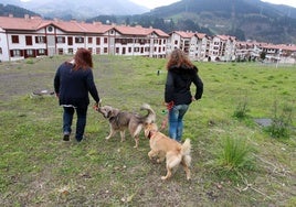 Imagen de archivo de dos mujeres paseando a sus perros por la zona de Abusu.