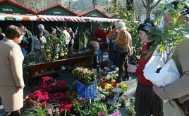 El mercado de plantas y flores de Markina se celebrará a primeros de febrero.