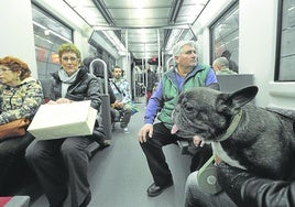 Gatos y perros de menos de 8 kilos pueden viajar desde 2011 en transportines o en brazos, en el caso de los canes.