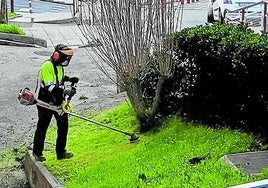 Se llevarán a cabo labores de limpieza, jardinería y mantenimiento en las calles ermuarras.