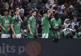 Medio millar de aficionados acompañan al Panathinaikos en Vitoria