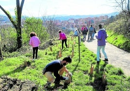 Miembros de Sagarrak y voluntarios participan en unas jornadas de plantación.