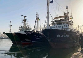 Varios atuneros en Bermeo.