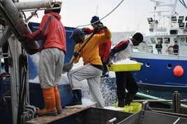 Un grupo de marineros de Senegal trabaja en una descarga en el puerto de Ondarroa.