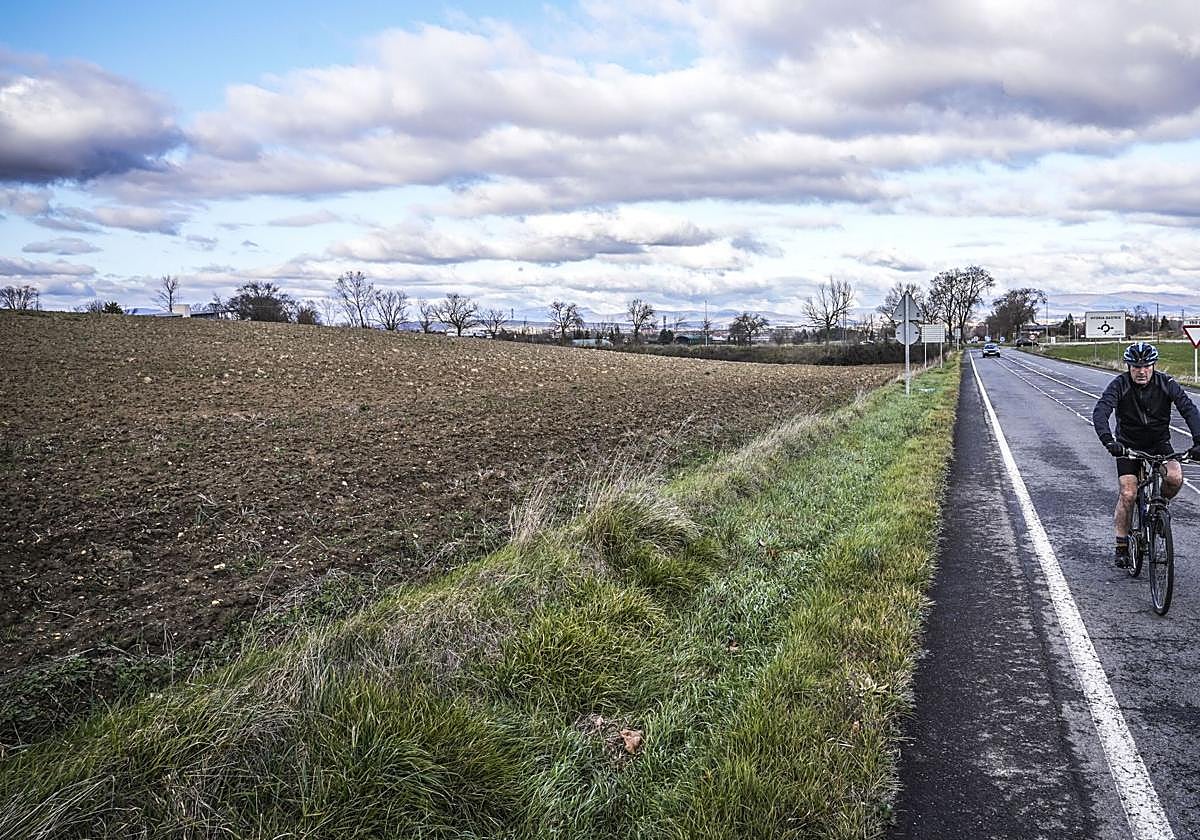 Estos terrenos del sector 17 seguirán siendo campos de cultivo.