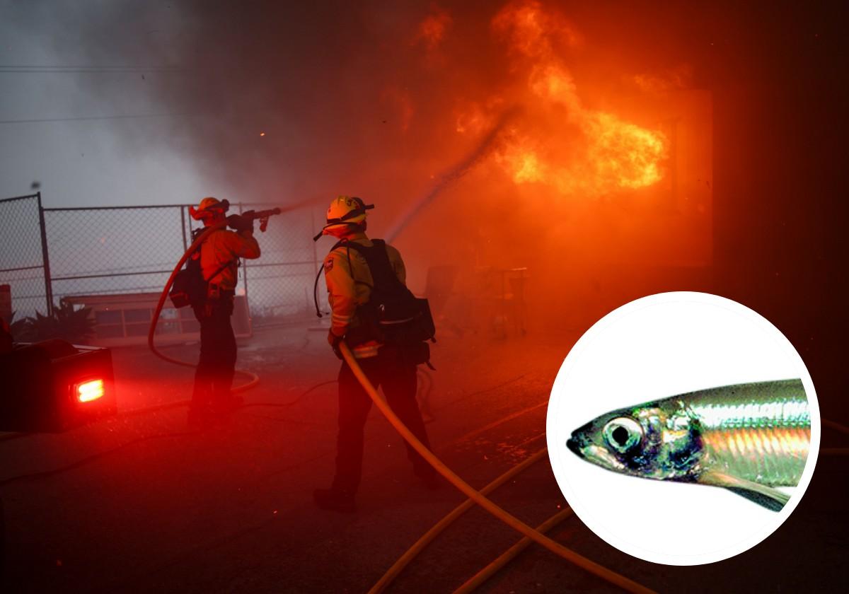 Dos bomberos intentan sofocar un fuego en Los Ángeles.