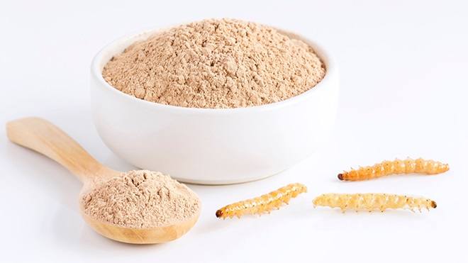 La OCU aclara la polémica sobre la harina de gusano