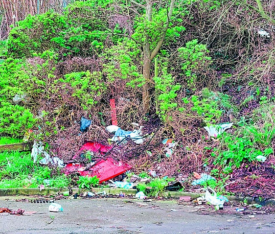 Las basuras convierten un polígono de Getxo en un vertedero que afecta al Gobela