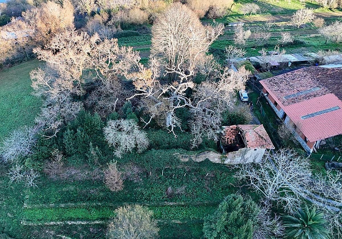 Vista aérea del edificio de la bodega perteneciente a la antigua Casa Torregana de Murueta.