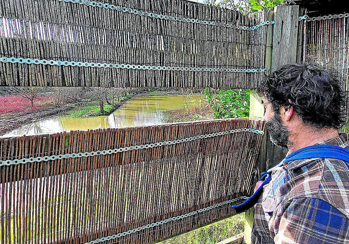 Xabi Buenetxea, técnico que controla las especies de Bolue para el Ayuntamiento de Getxo, contempla una de las charcas del humedal.