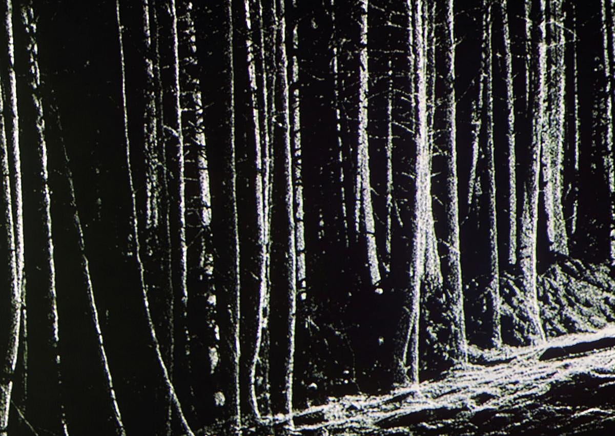 Imagen secundaria 1 - 'Arbalète [Ballesta]', del surrealista Óscar Domínguez; fotograma de 'Paraíso' (Maddi Barber & Marina Lameiro; y 'A Wider Kind of Love' de Nashashibi. 