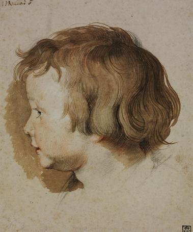 'Retrato de perfil del hijo del artista, Albert Rubens' (ca. 1618-19)