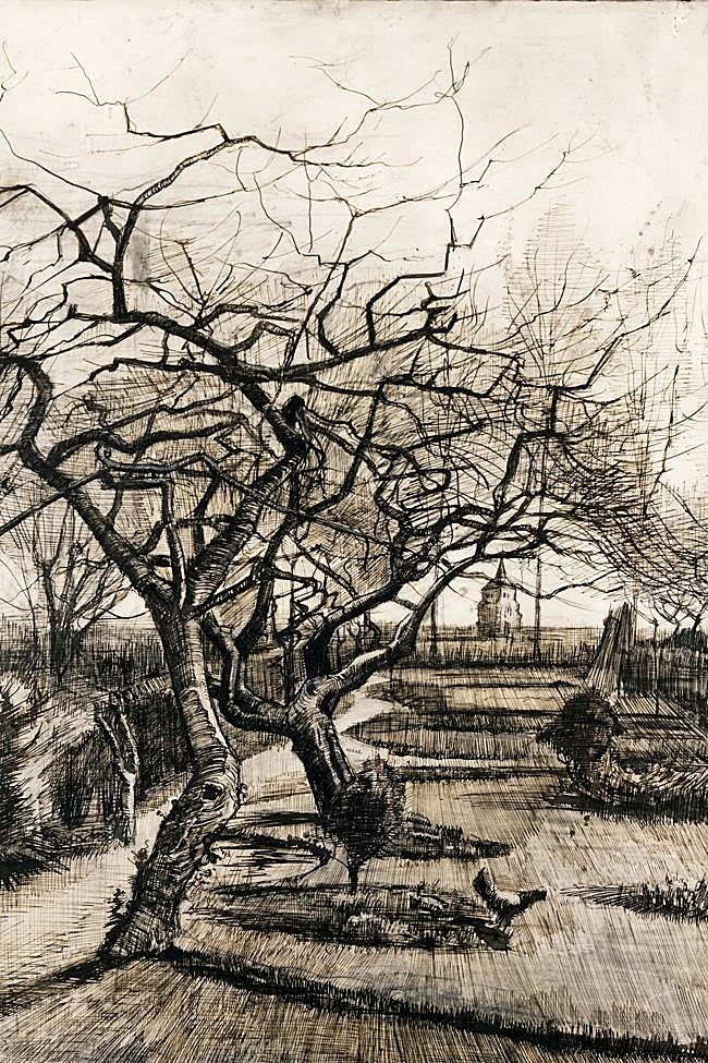 'El jardín de la casa parroquial de Nuenen en invierno' (1884).