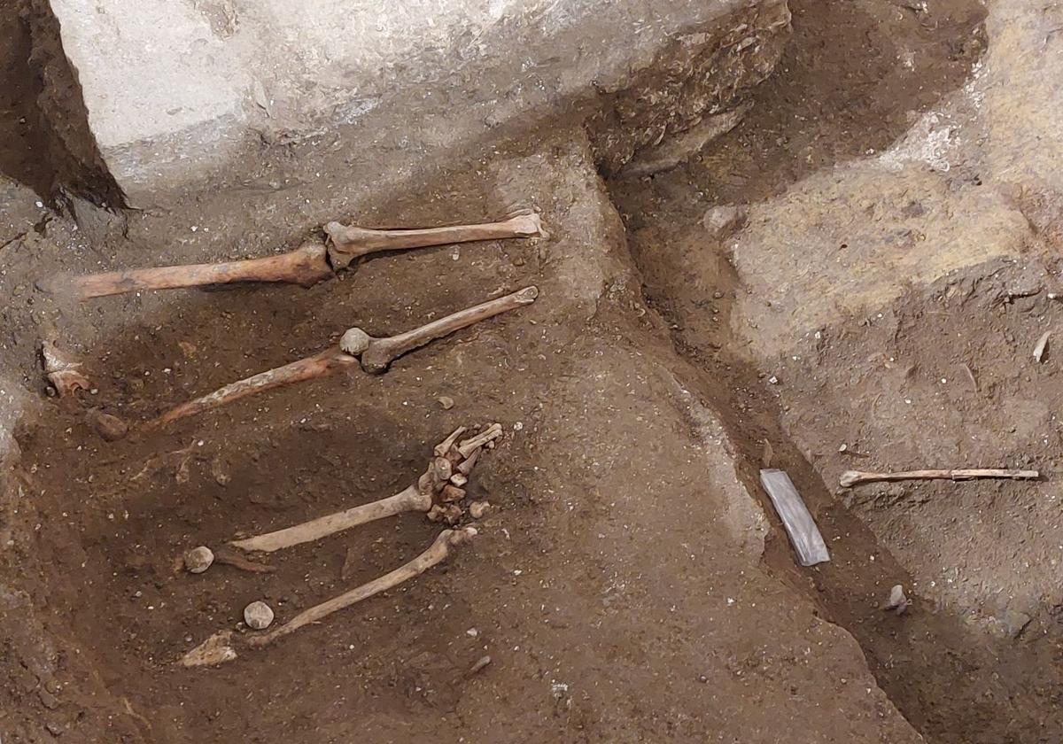 Se han hallado restos óseos como falanges o vértebras de seis cuerpos.