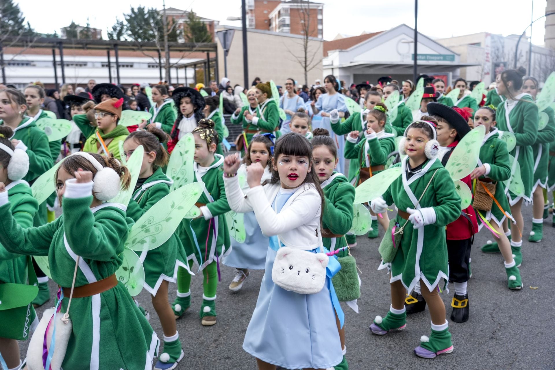 Las imágenes del desfile del Carnaval de Vitoria