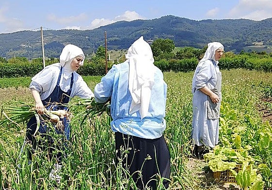 Tres de las monjas trabajan en el huerto.