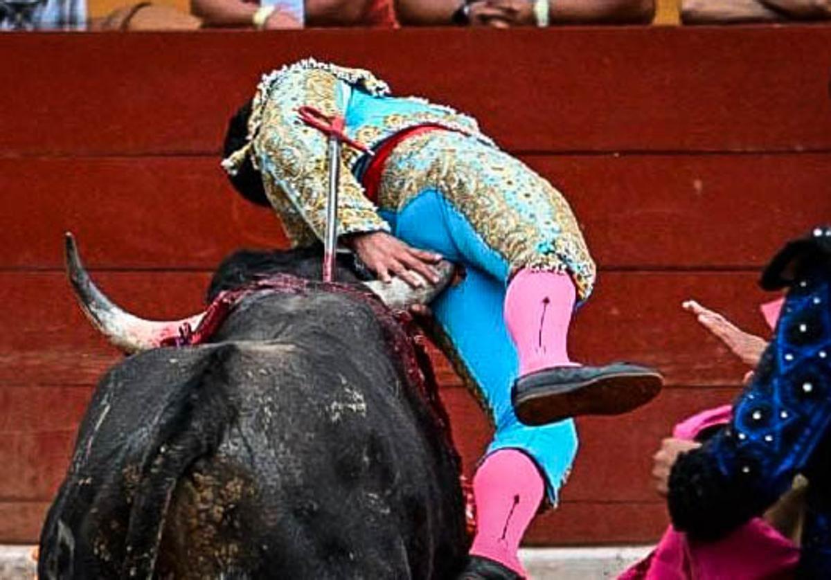 Dramática cornada por detrás al torero Emilio Macías en una plaza de México  | El Correo