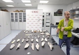 El investigador del Instituto de Historia del CSIC Ignacio de la Torre presenta el hallazgo, realizado en un yacimiento de la Garganta de Olduvai (Tanzania, África oriental)