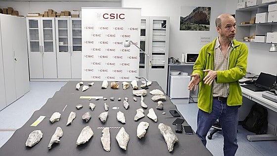 Un equipo del CSIC identifica en Tanzania herramientas de hueso de 1,5 millones de años
