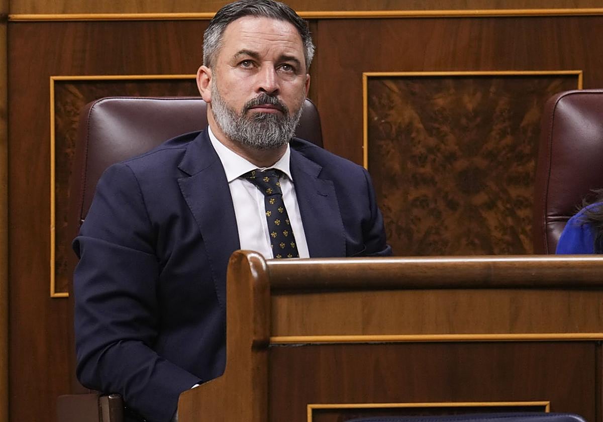 Investigación a Vox