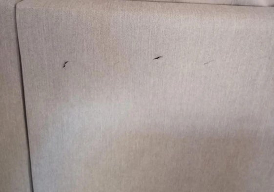 Marcas de cuchilladas en el sofá del piso tutelado.