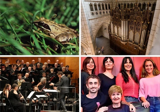 Immaculate Fools, visita nocturna a la Catedral, teatro... y otros planes para el fin de semana en Álava