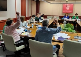 Elkarrekin vota junto al PSE y el PNV en la comisión de este lunes.