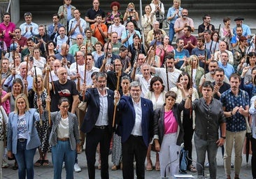 Kontseilua ve «muy grave» el «error» del Gobierno al no recurrir a tiempo la sentencia del euskera