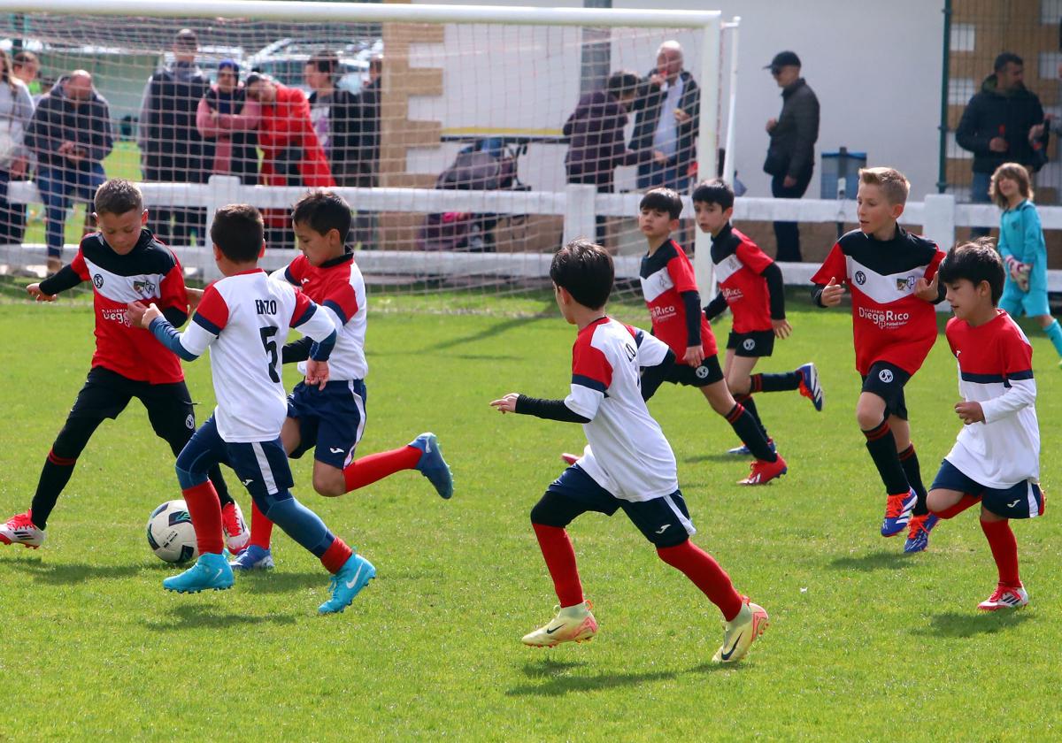 Los partidos no tienen carácter competitivo.