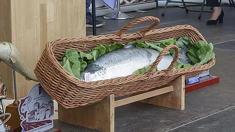 A 1.500 euros el kilo de salmón en Asturias