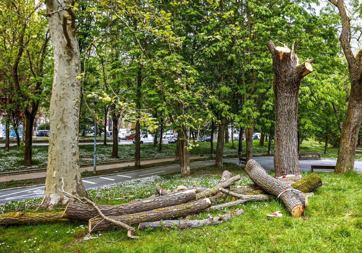 La huelga de jardineros cumple un mes en Vitoria con los parques desbordados
