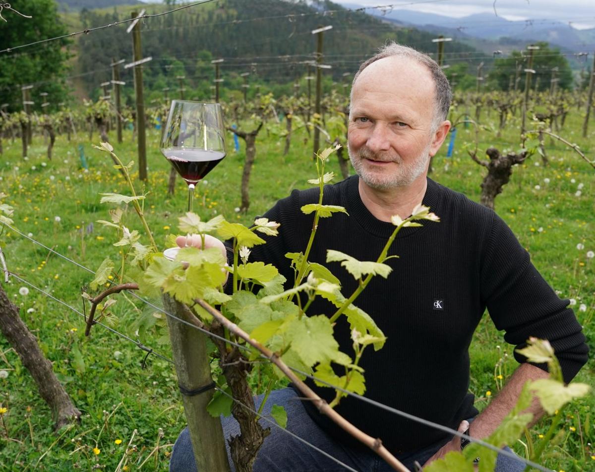 Joserra Calvo Valpuesta, enólogo de la bodega de txakoli Gorka Izagirre, en el paraje llamado Astoreka, entre plantaciones de Hondarrabi Zuri y Hondarrabi Zerratia.