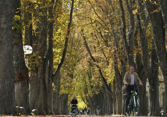 Paseo de Fray Francisco, desde La Senda a Mendizorroza