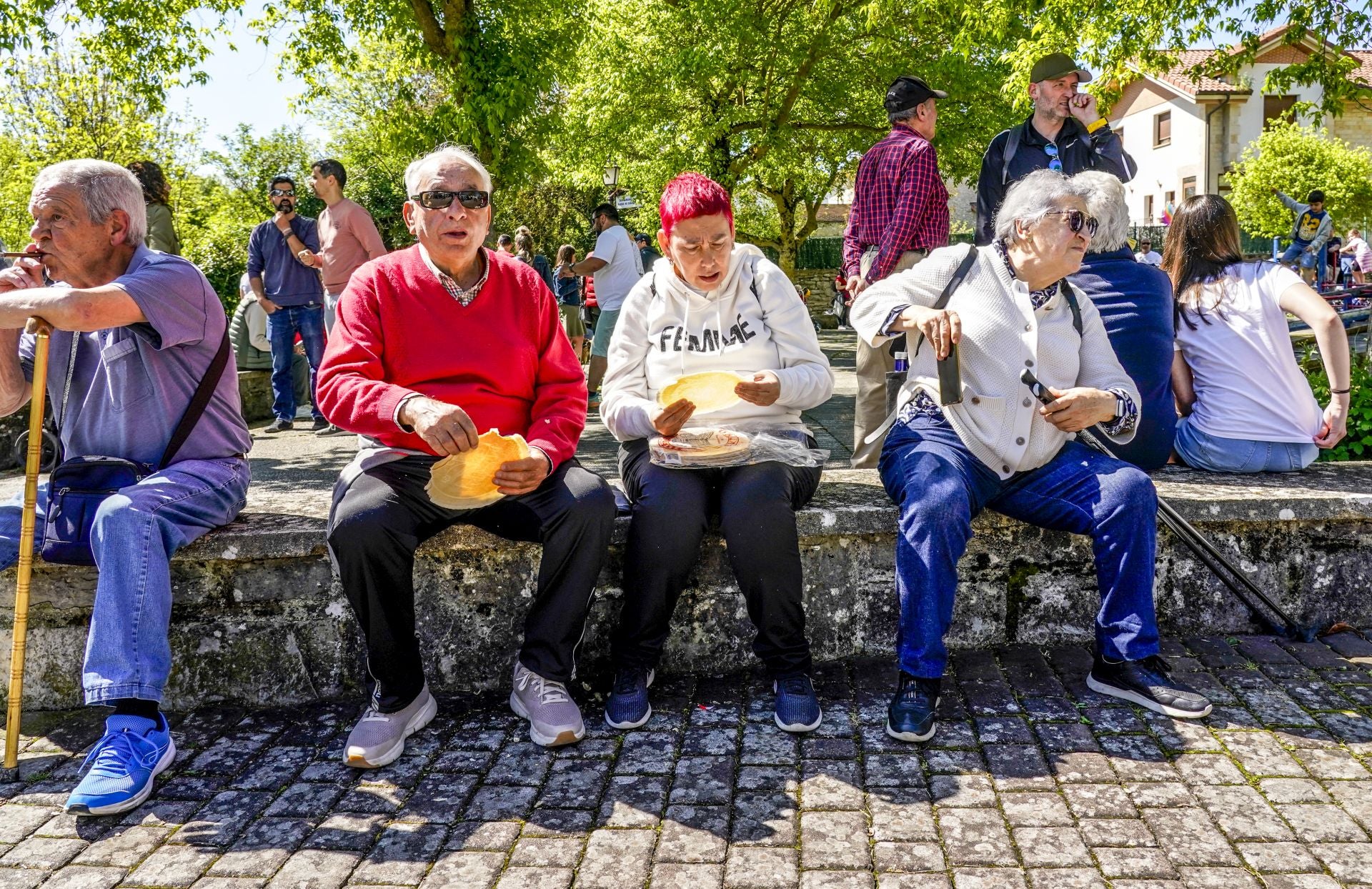 Las imágenes de la celebración de San Prudencio en Armentia