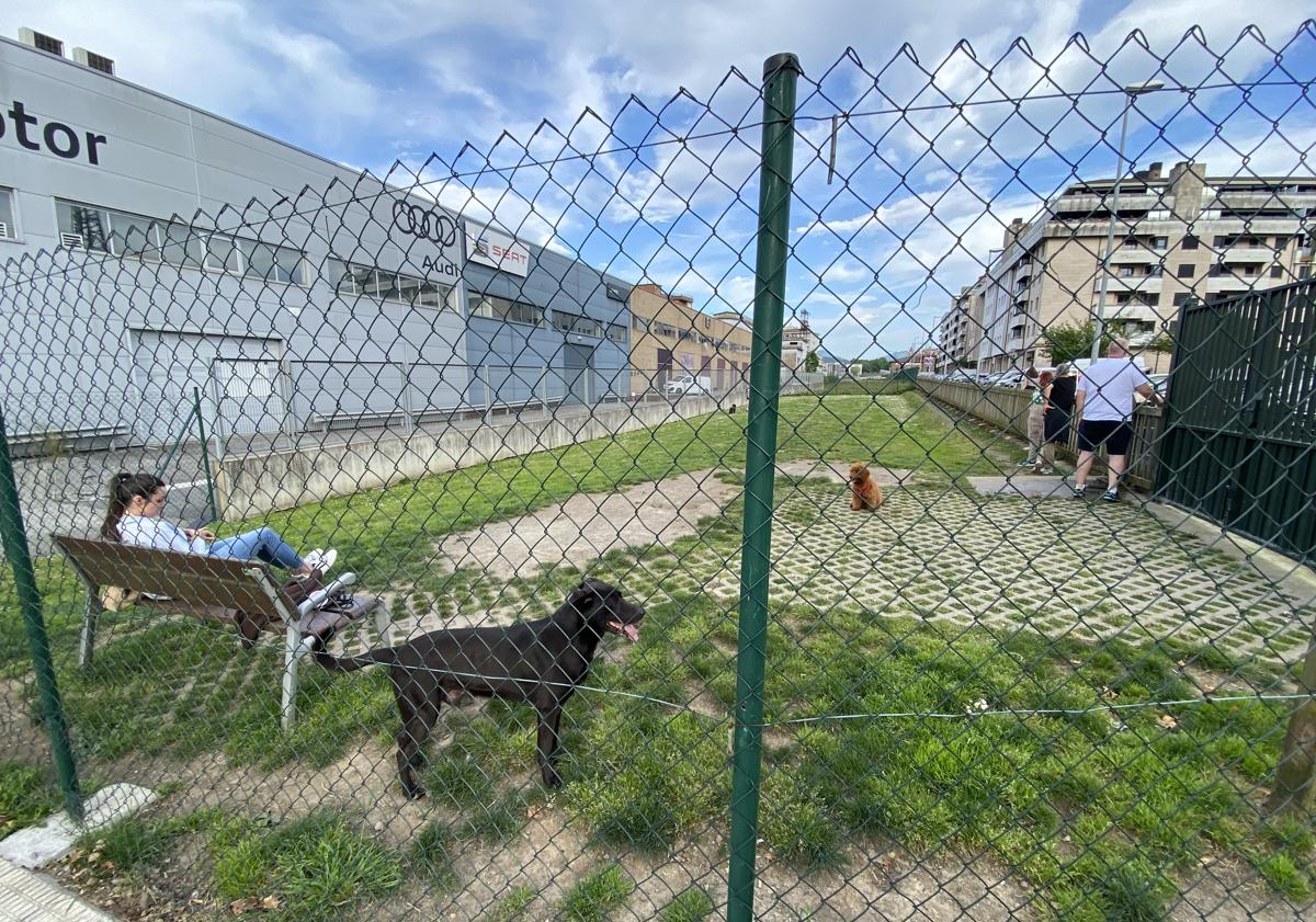 Imagen principal - «Los niños no tienen por qué jugar entre los excrementos de perros»